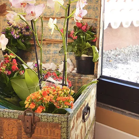 Solar Bom Jesus 4* サンタ・クルーズ