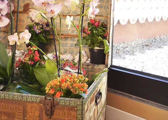 Solar Bom Jesus 4* 산타 크루즈